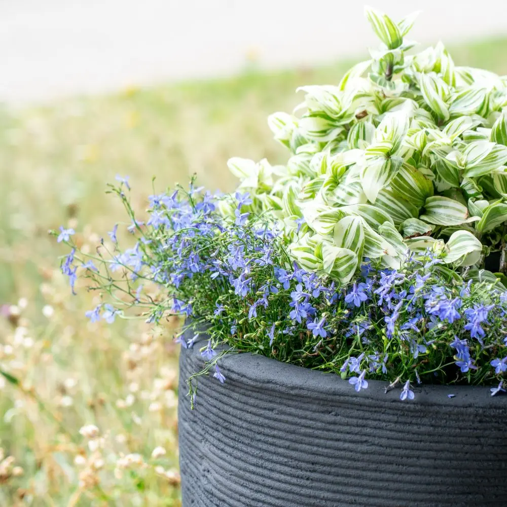 DrieDay second export-34.webp