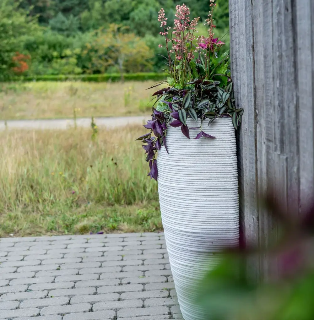 DrieDay second export-23.webp