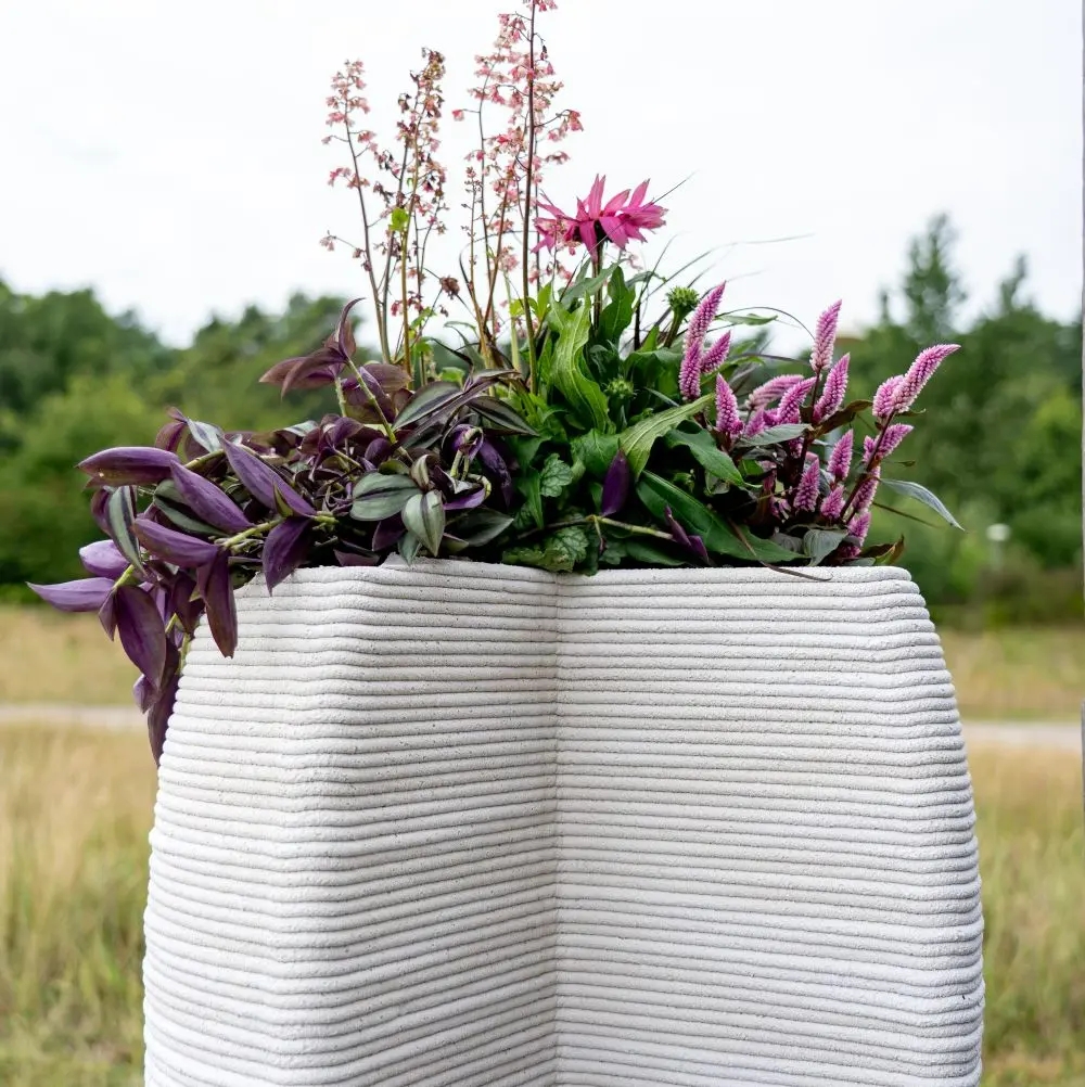 DrieDay second export-29.webp