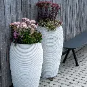 DrieDay second export-22.webp