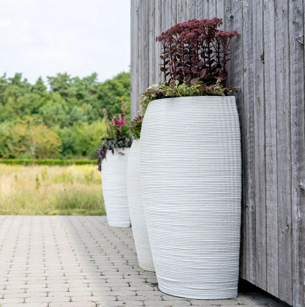 DrieDay second export-24.webp