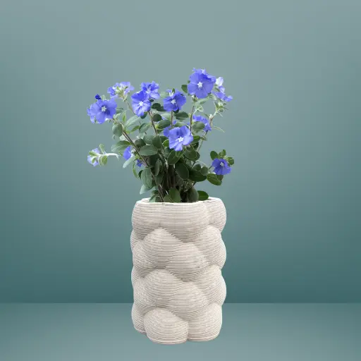 Blue Ridge - bisque-fired